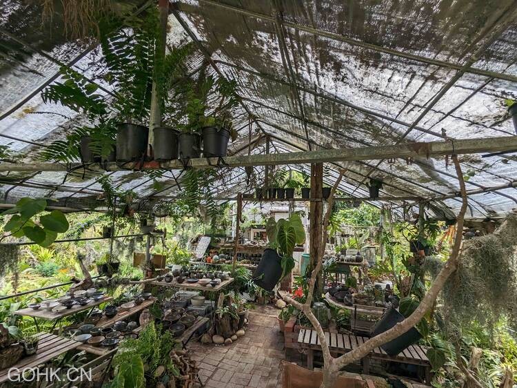 香草原
